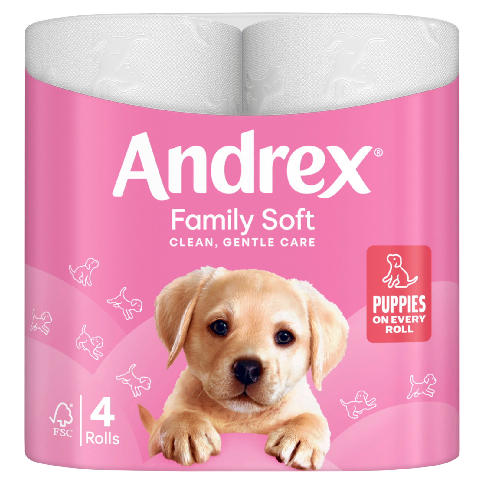 Andrex Family Soft 4×170sh