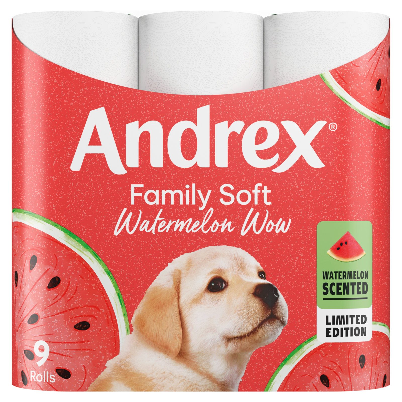 Andrex Watermelon 9×170sh