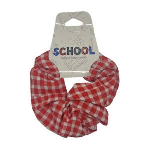 Kids Assorted School Hair Accessories